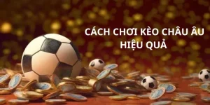 Phân chia tiền hợp lý giúp đặt cược hiệu quả